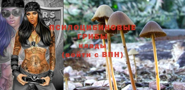 меф Надым