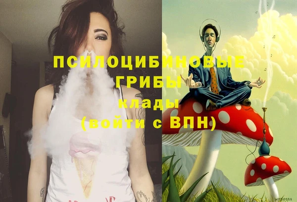 ПСИЛОЦИБИНОВЫЕ ГРИБЫ Навашино