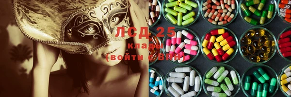 ПСИЛОЦИБИНОВЫЕ ГРИБЫ Навашино