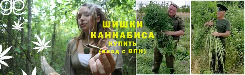 Шишки марихуана Amnesia  Нижний Ломов 